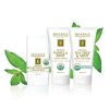 Shea Butter & Mint Moisture Balm - Image 2