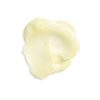 Yuzu Solid Body Oil - Image 2